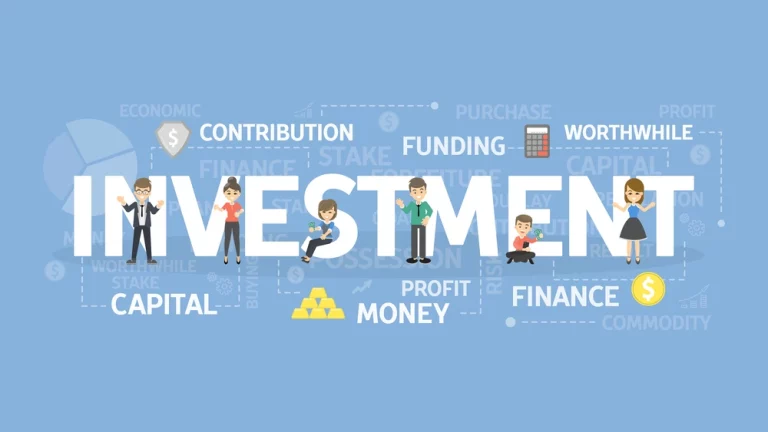 What does investment means